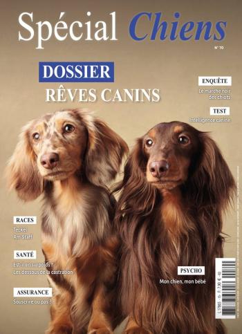 Spécial Chiens