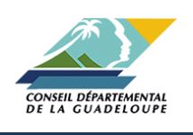 Appel à projet lutte contre l'isolement social des personnes âgées des îles de Guadeloupe