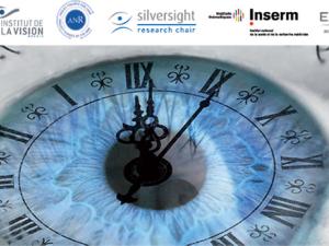  alt="Lancement de la chaire SILVERSIGHT sur le vieillissement visuel"