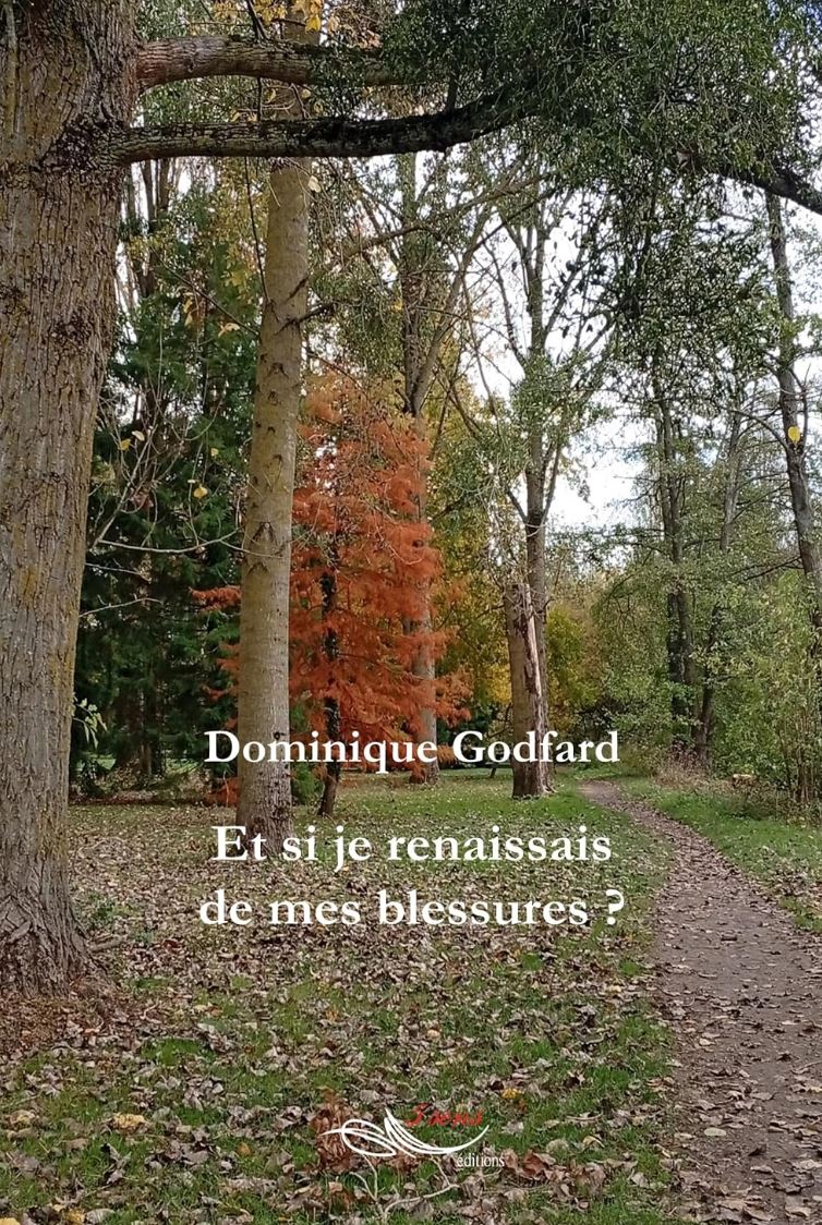 Interview pour Capgeris.com Dominique GODFARD
